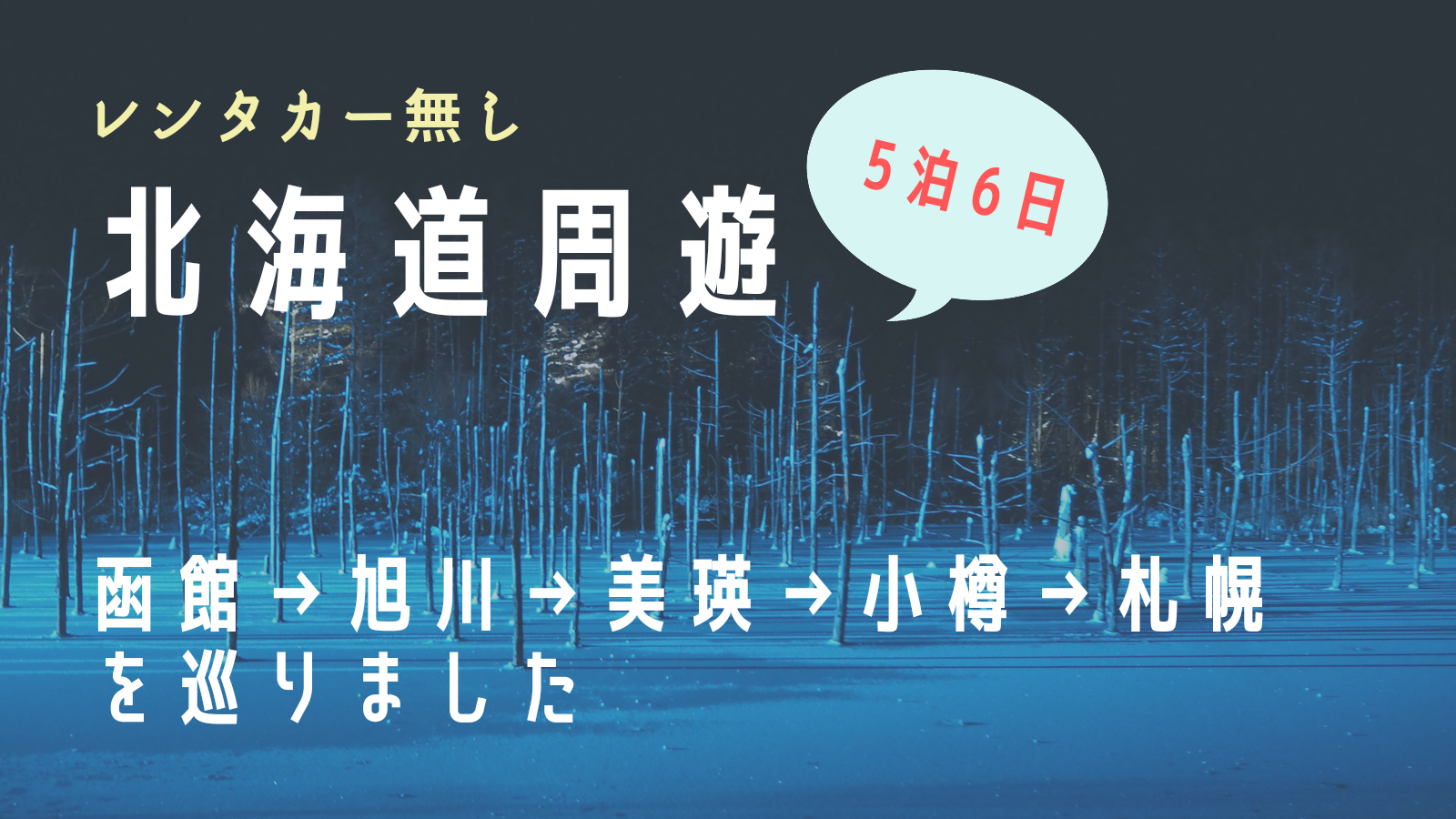 5泊6日 冬の北海道巡り 函館 札幌 旭川 美瑛 小樽など レンタカー無し で観光したモデルコースを紹介