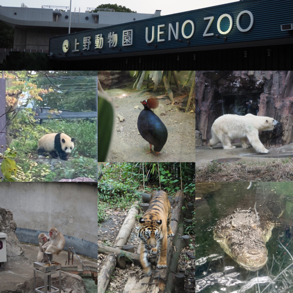 上野動物園の動物たち