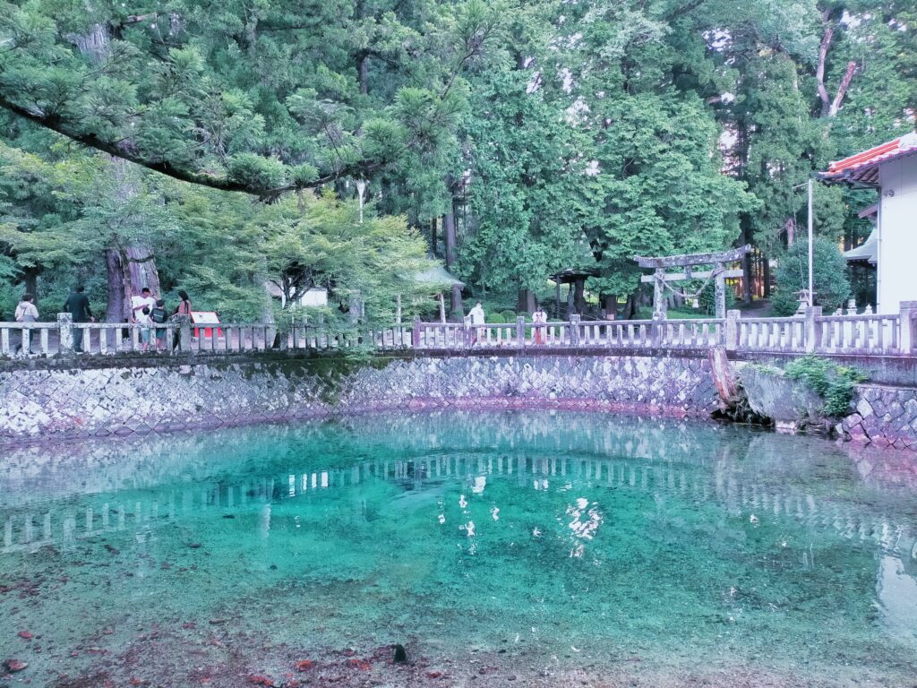 山口県にある別府弁天池の透き通った水